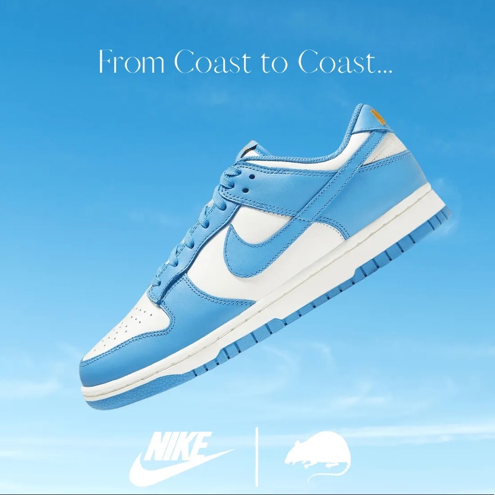 NIKE • DUNK LOW • Coast